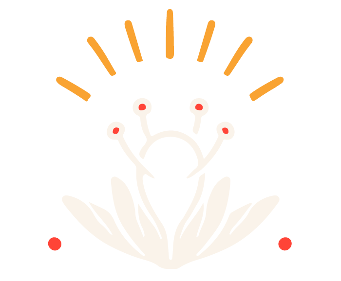 Borderless Flower Image
